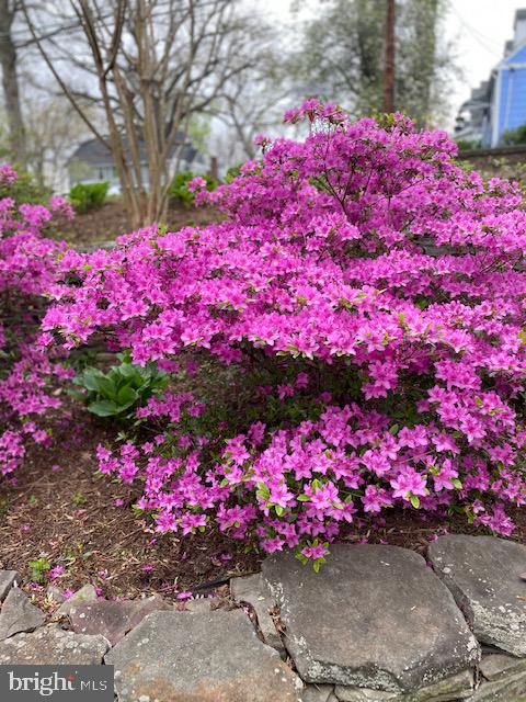 BLUEMONT - Residential