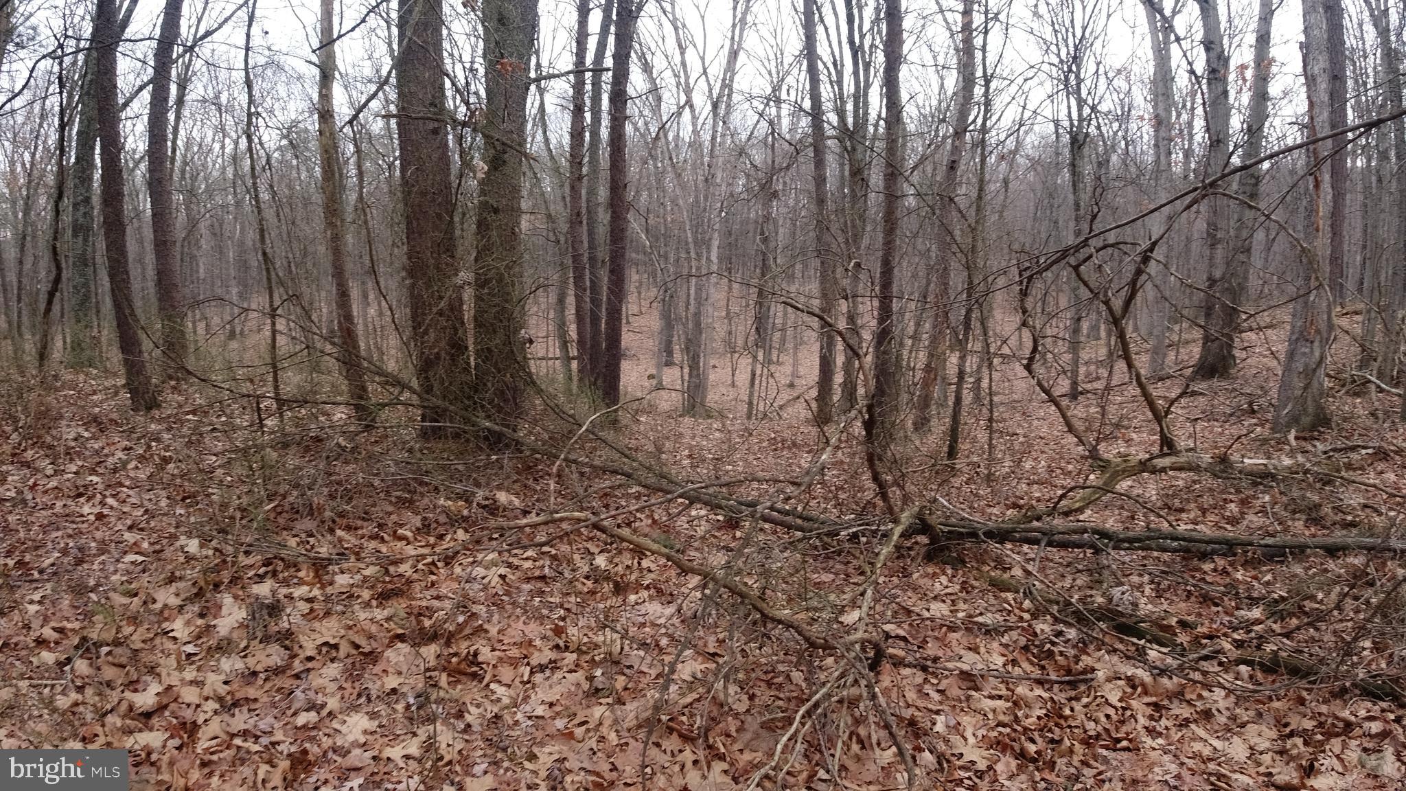 Lot 51 FAR MEADOWS ROAD