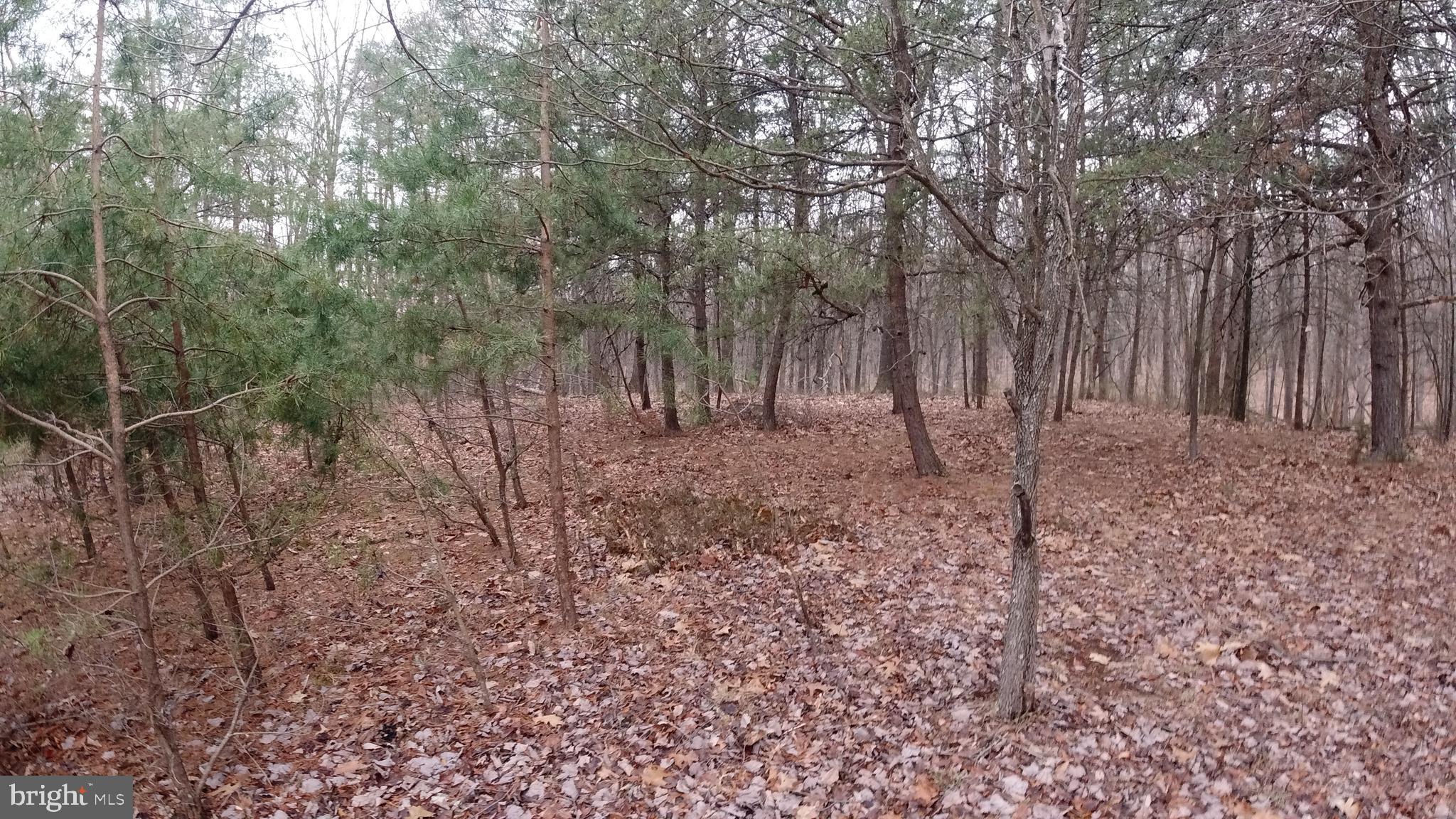 Lot 51 FAR MEADOWS ROAD