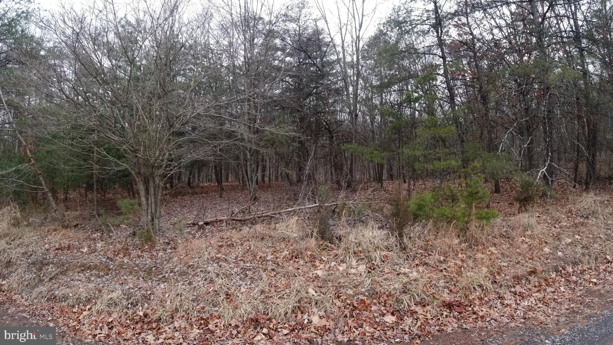 Lot 51 FAR MEADOWS ROAD