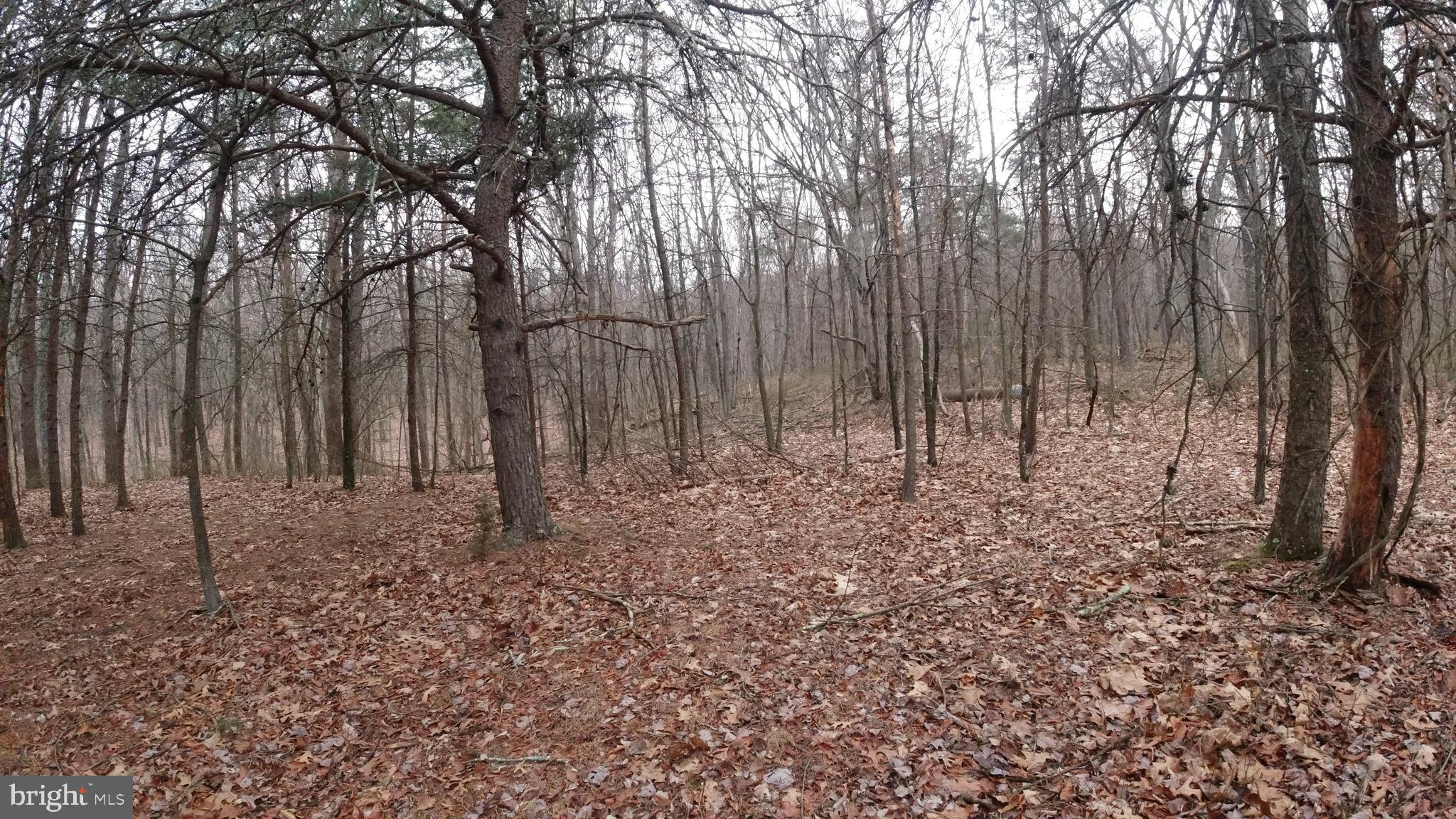 Don't miss out on this 2.73-acre lot to build your mountain getaway or full-time residence. Ready to be developed as you wish, just bring your imagination and get started. The restrictions are light so come enjoy what WV has to offer. Just minutes from plenty of public hunting/ fishing. This property is less than 2 hours from DC & Baltimore, making it your convenient getaway.