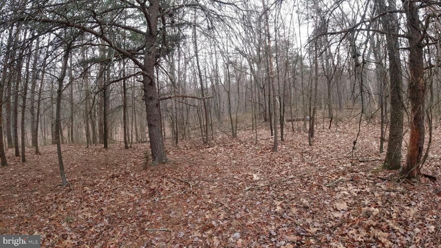 Don't miss out on this 2.73-acre lot to build your mountain getaway or full-time residence.  Ready to be developed as you wish, just bring your imagination and get started. The restrictions are light so come enjoy what WV has to offer. Just minutes from plenty of public hunting/ fishing. This property is less than 2 hours from DC & Baltimore, making it your convenient getaway.