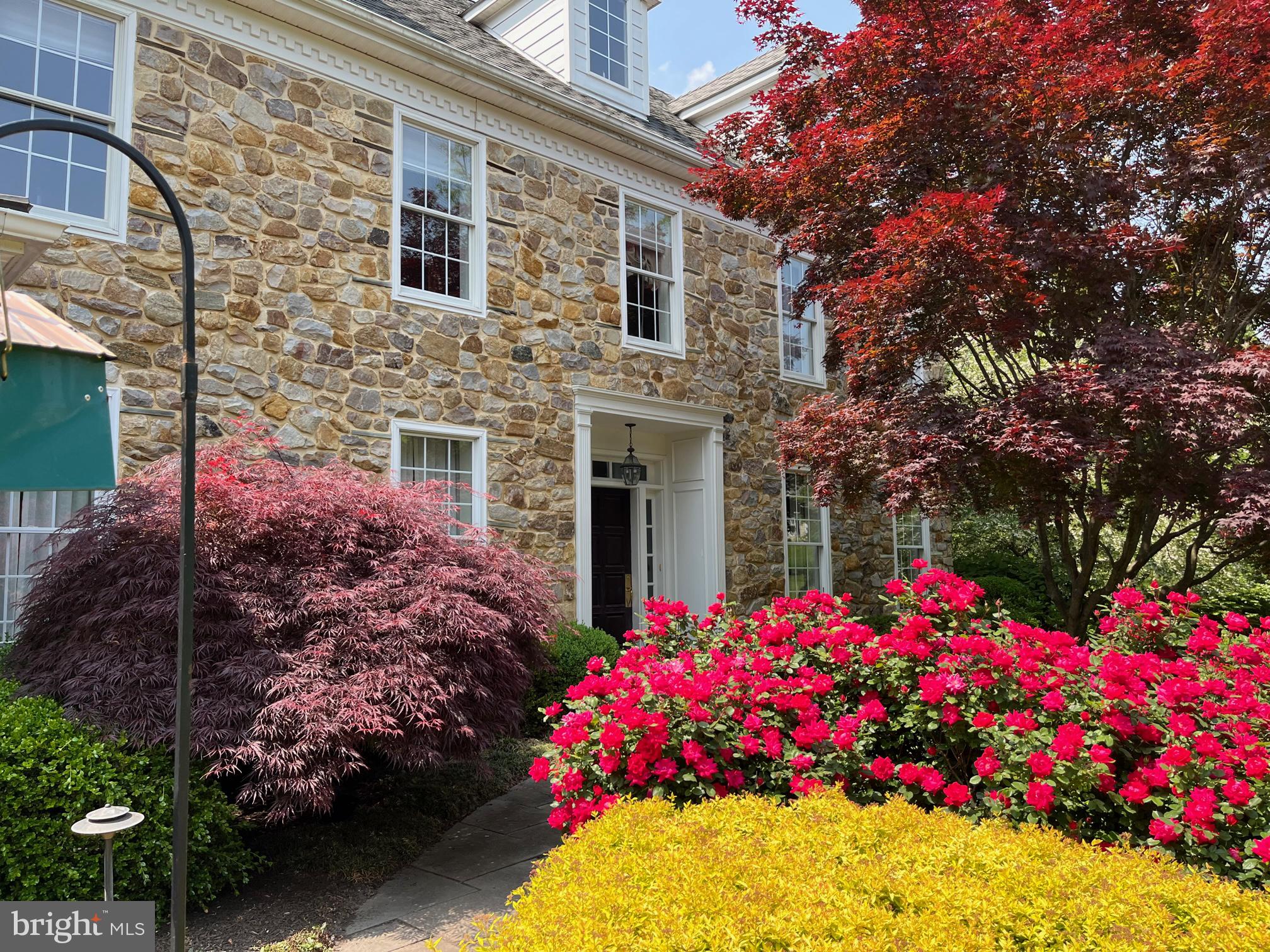 SPRINGLEA - Residential