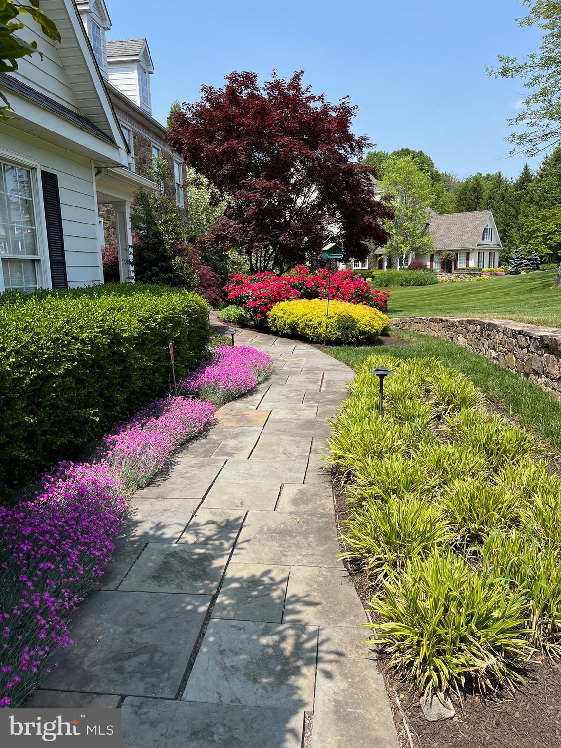 SPRINGLEA - Residential