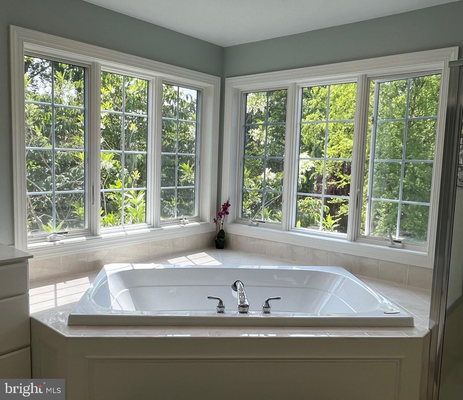 SPRINGLEA - Residential