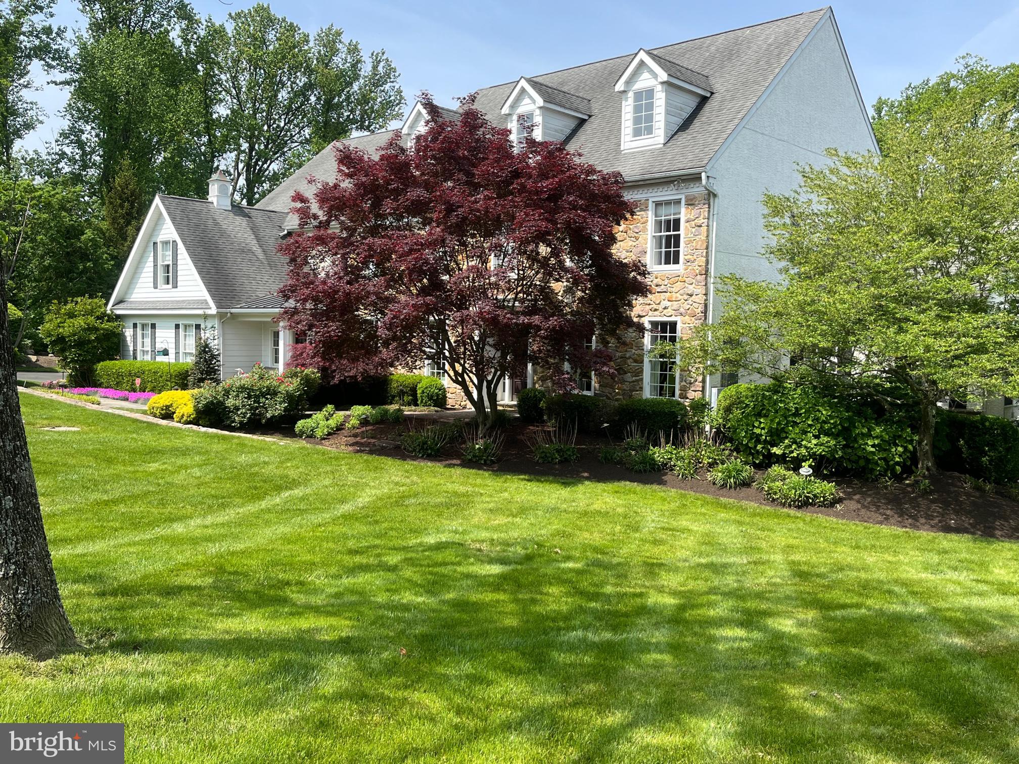 SPRINGLEA - Residential