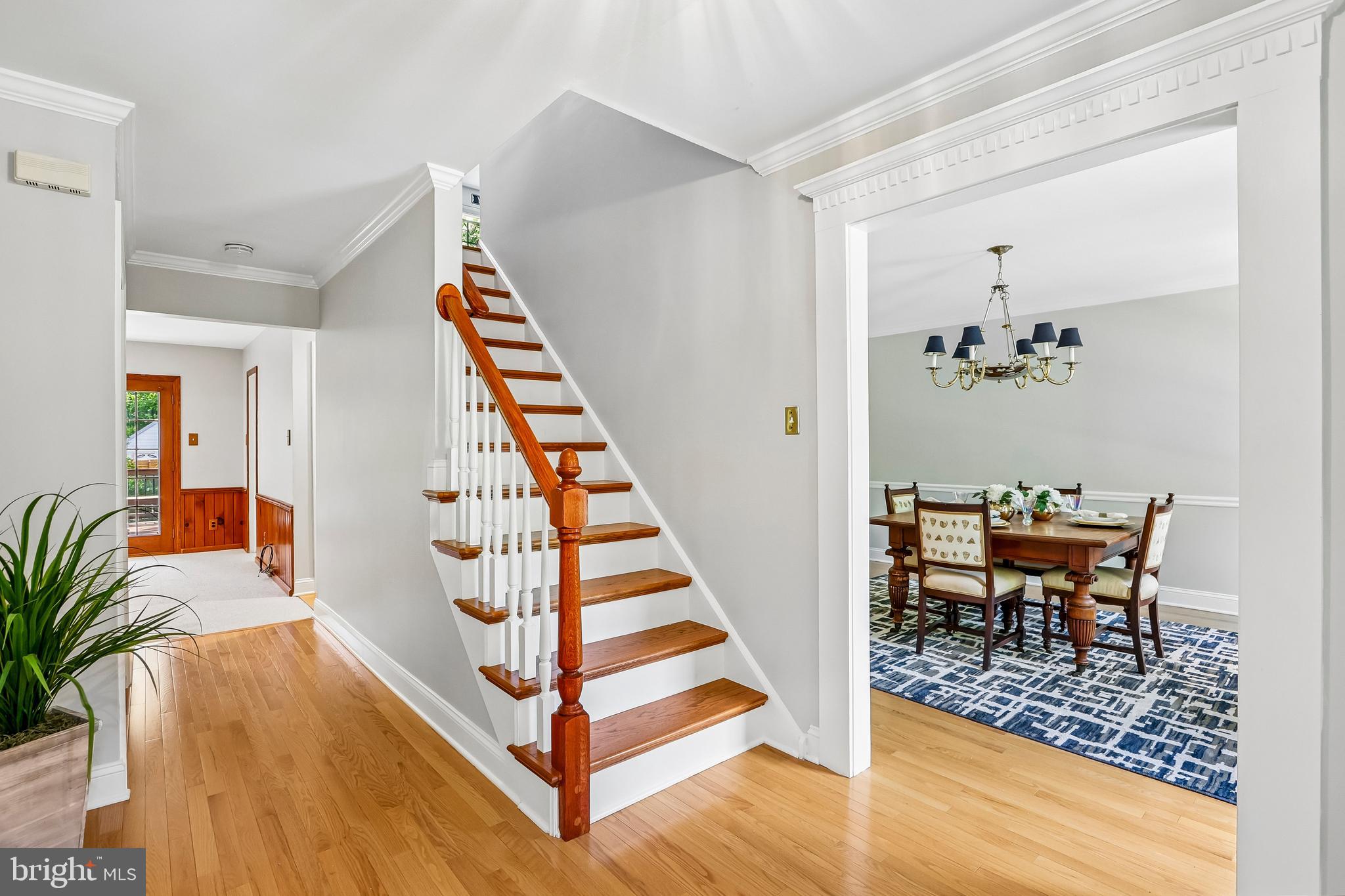 25 ANDREW DRIVE