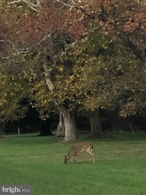RATCLIFFE FARM - Land