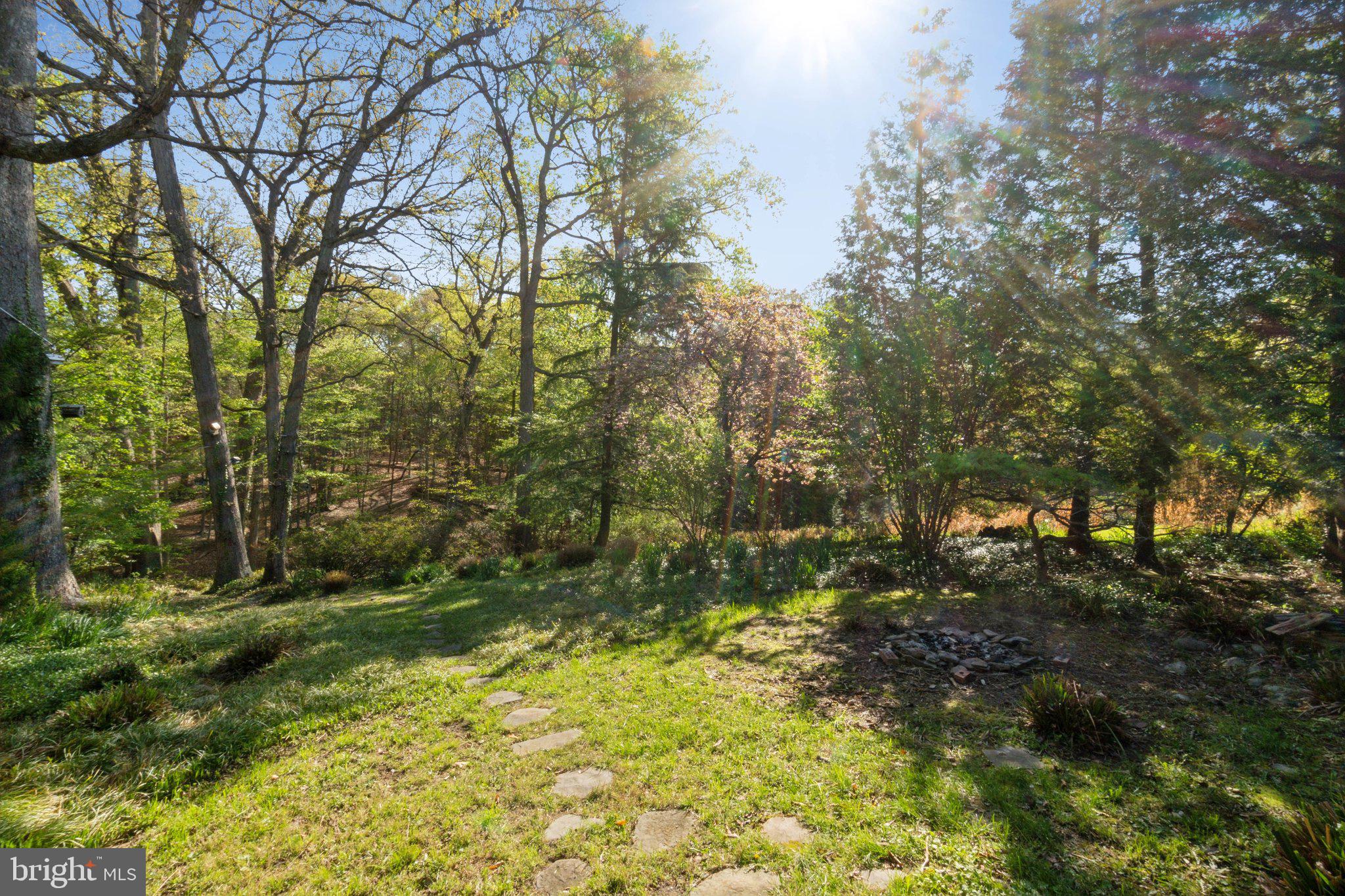 TAKOMA PARK - Residential