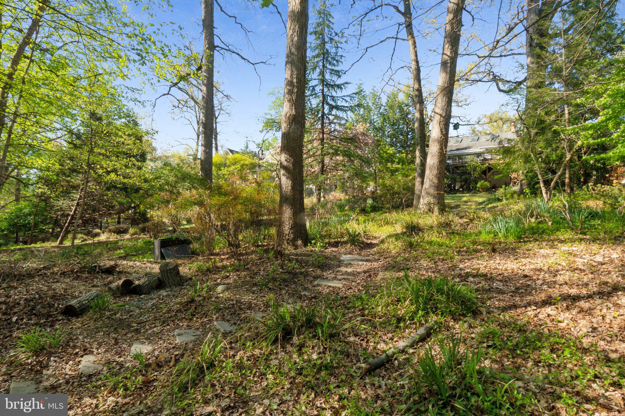 TAKOMA PARK - Residential