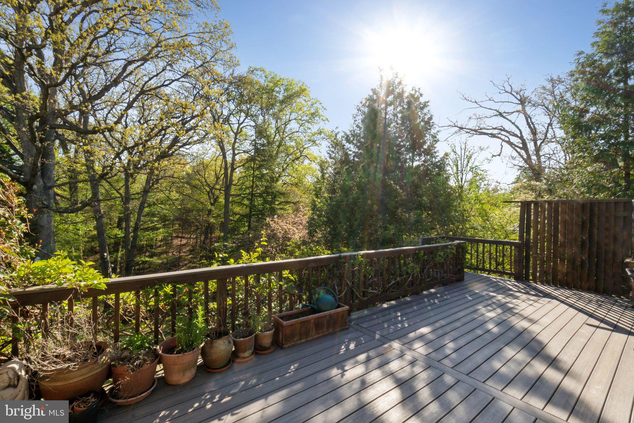 TAKOMA PARK - Residential