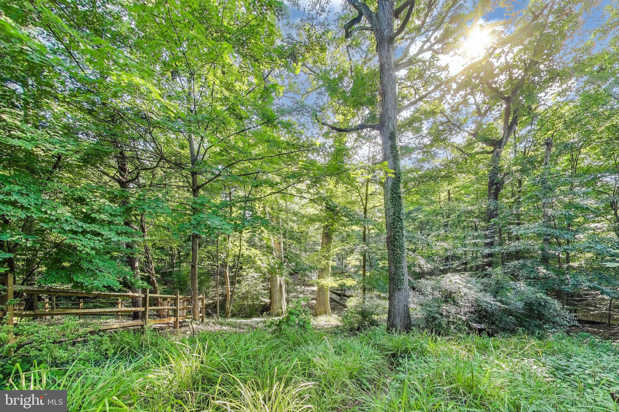 TAKOMA PARK - Residential