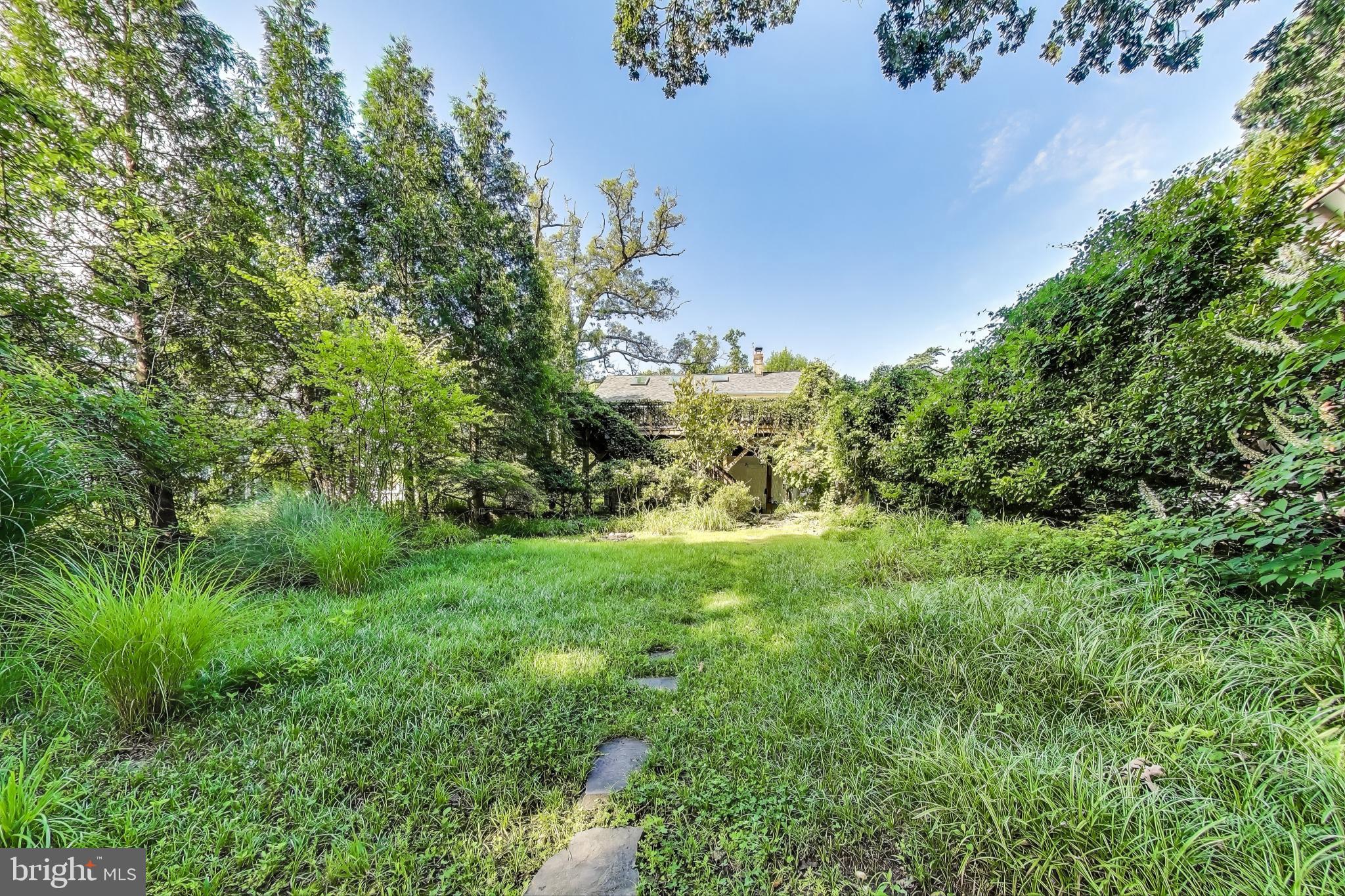 TAKOMA PARK - Residential