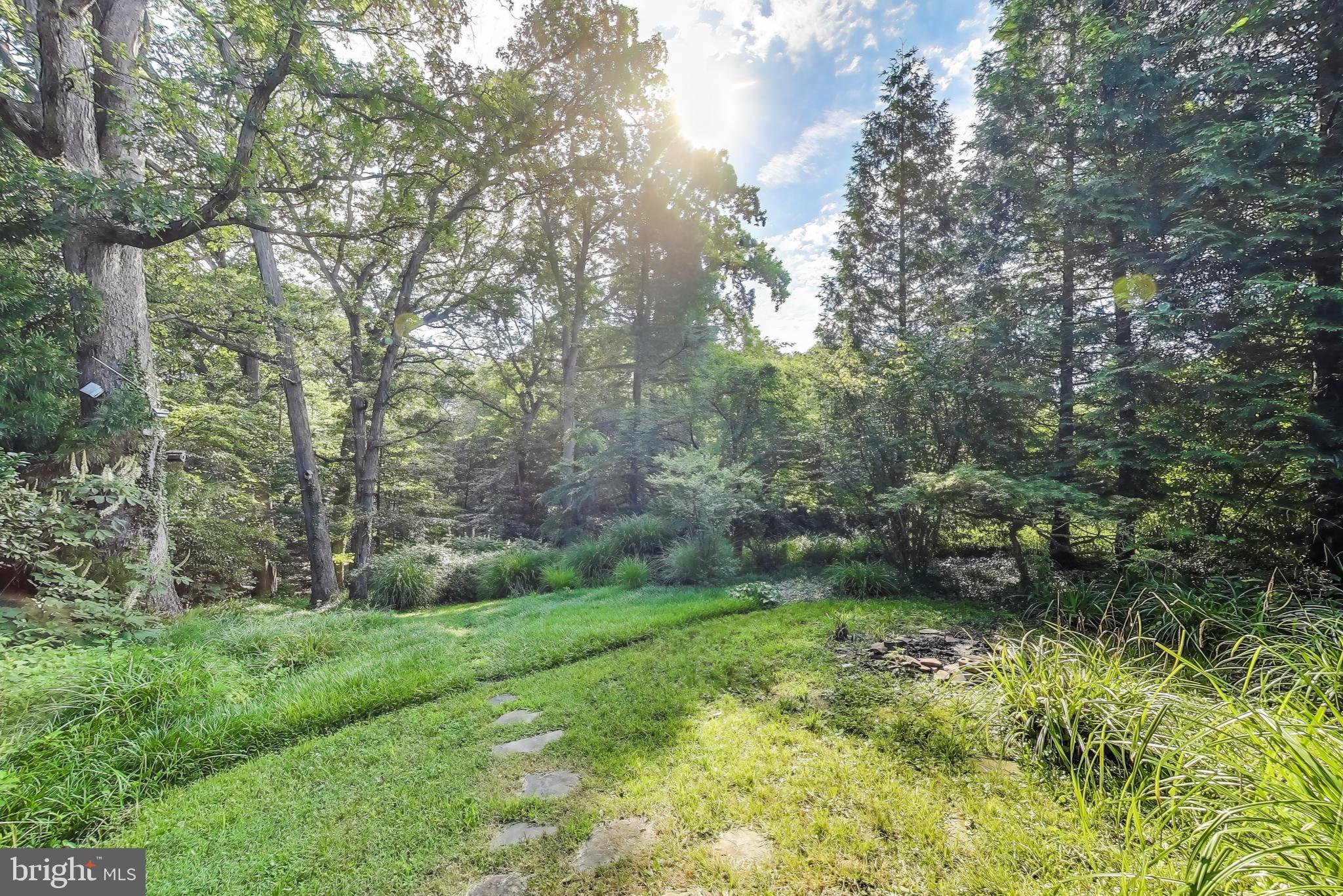 TAKOMA PARK - Residential