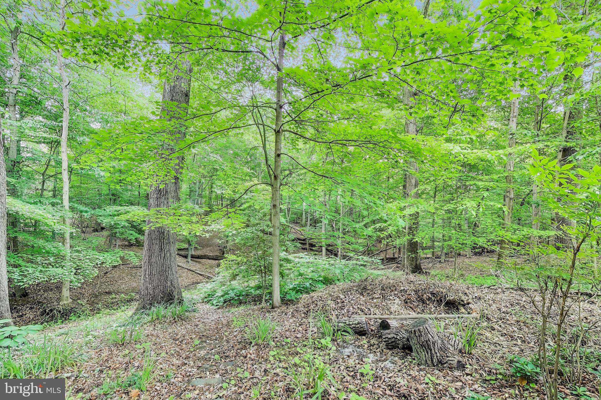 TAKOMA PARK - Residential