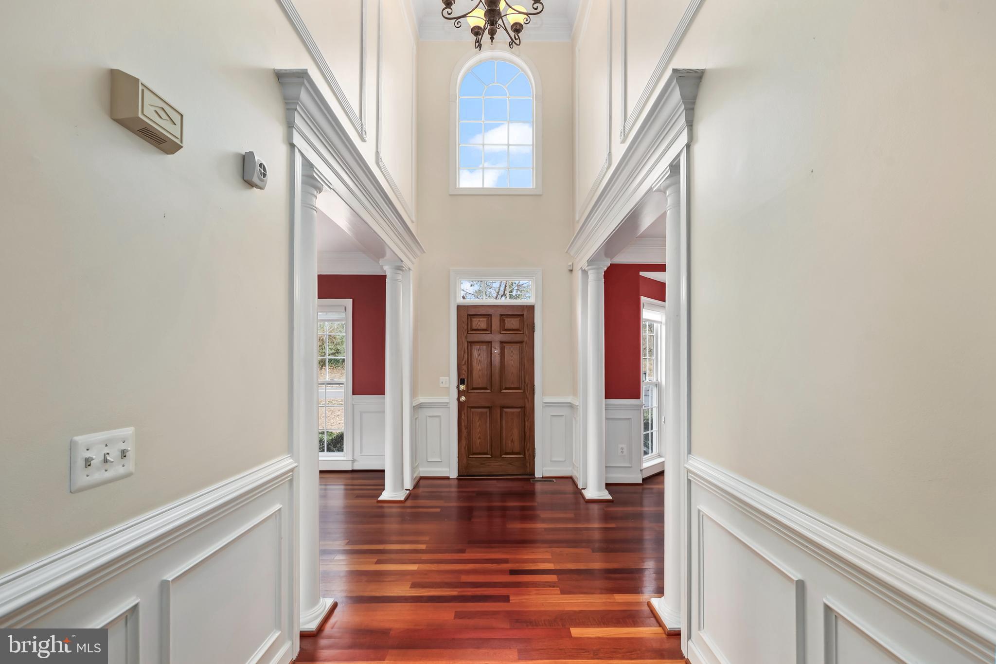 SPRINGMAN - Residential