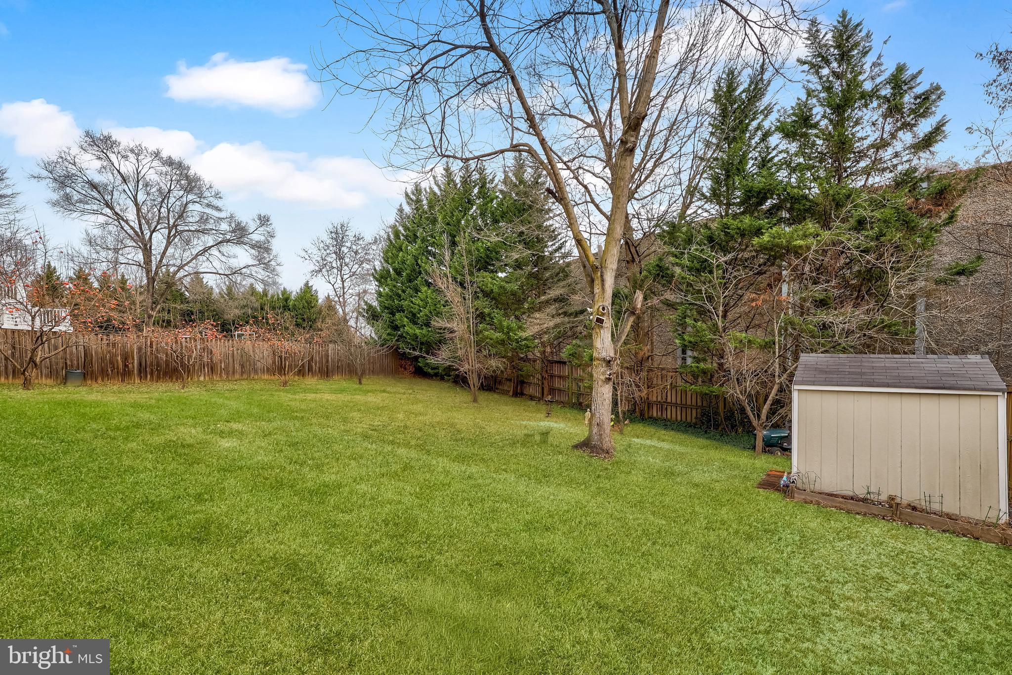 SPRINGMAN - Residential