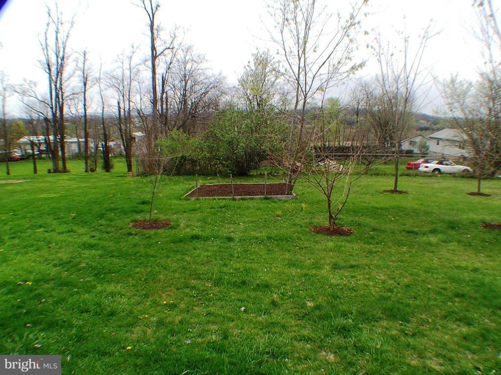 LOCUST & GROVE - Residential