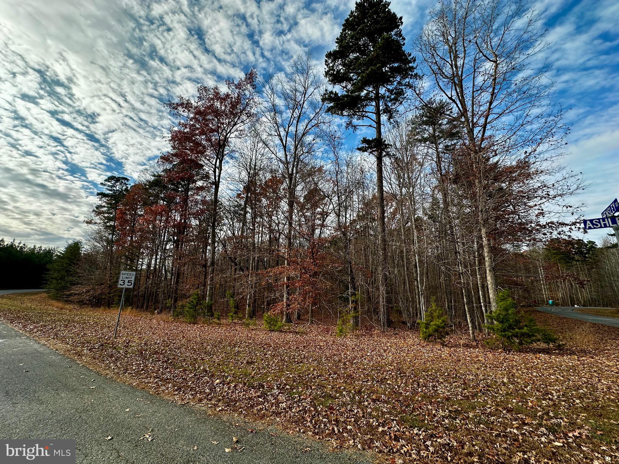 FRESHWATER ESTATES - Land