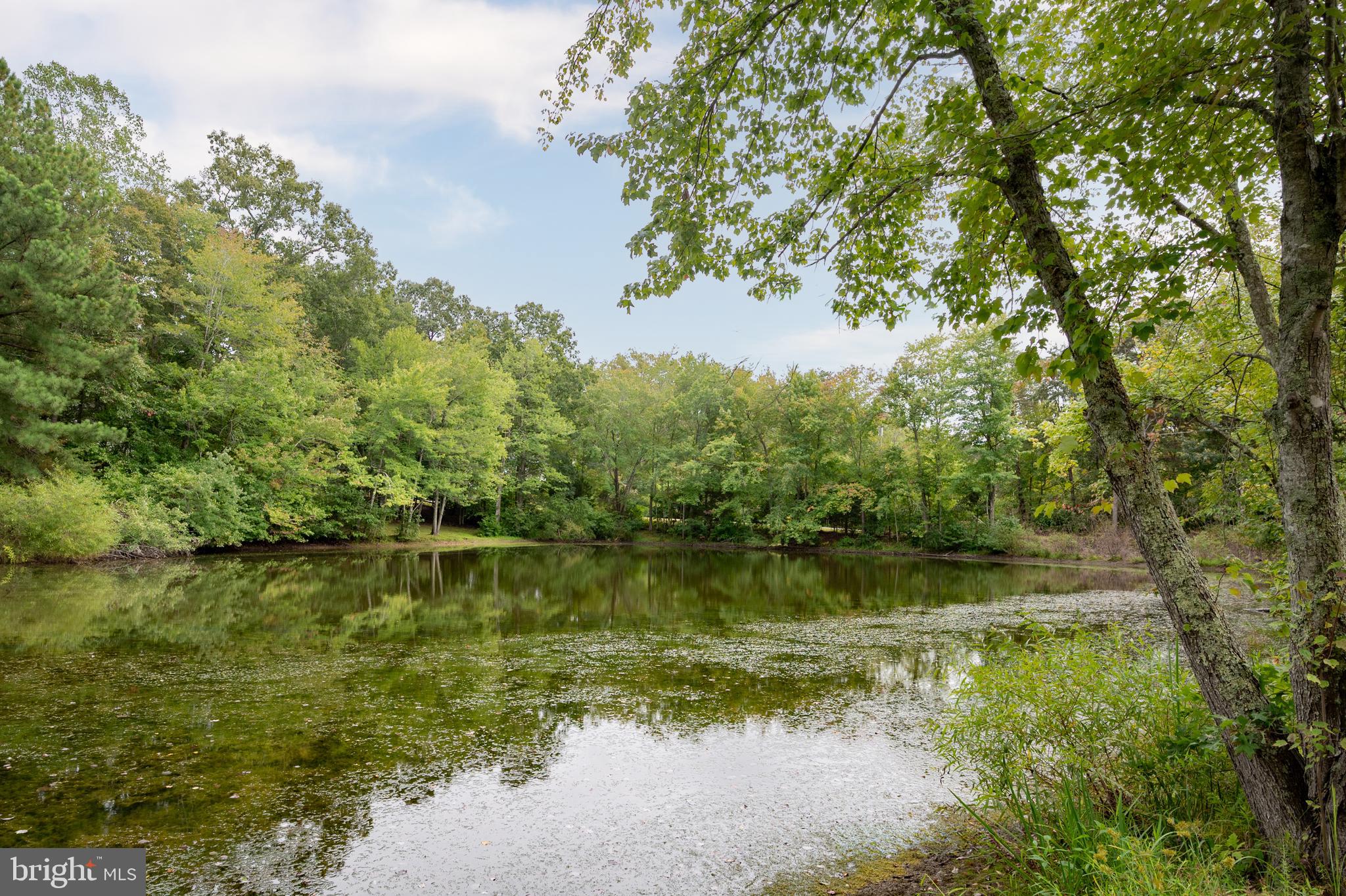 LAKE ARROWHEAD - Residential