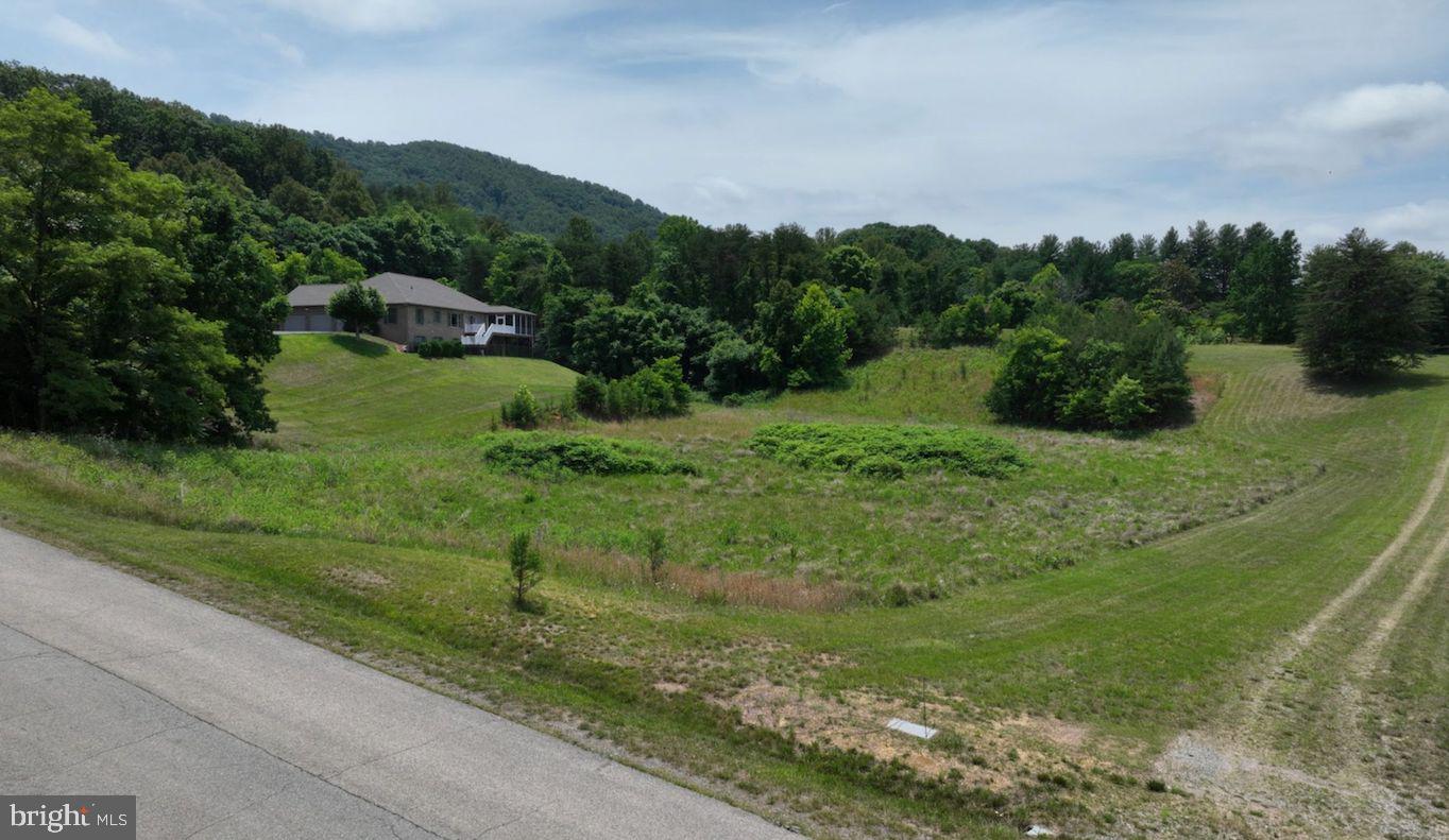 WHITE TAIL DRIVE