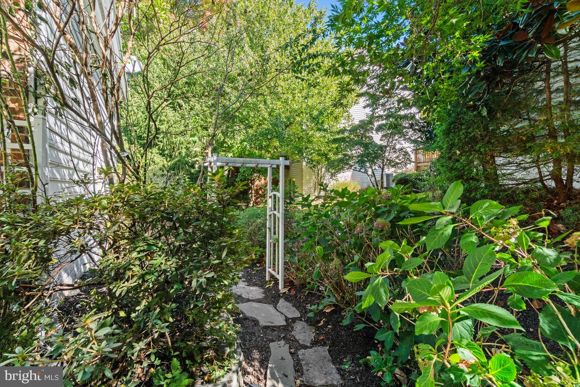 LOWES ISLAND - Residential