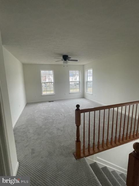 CATTAIL COMMONS - Residential