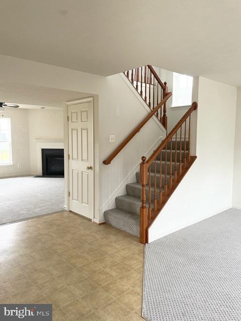 CATTAIL COMMONS - Residential