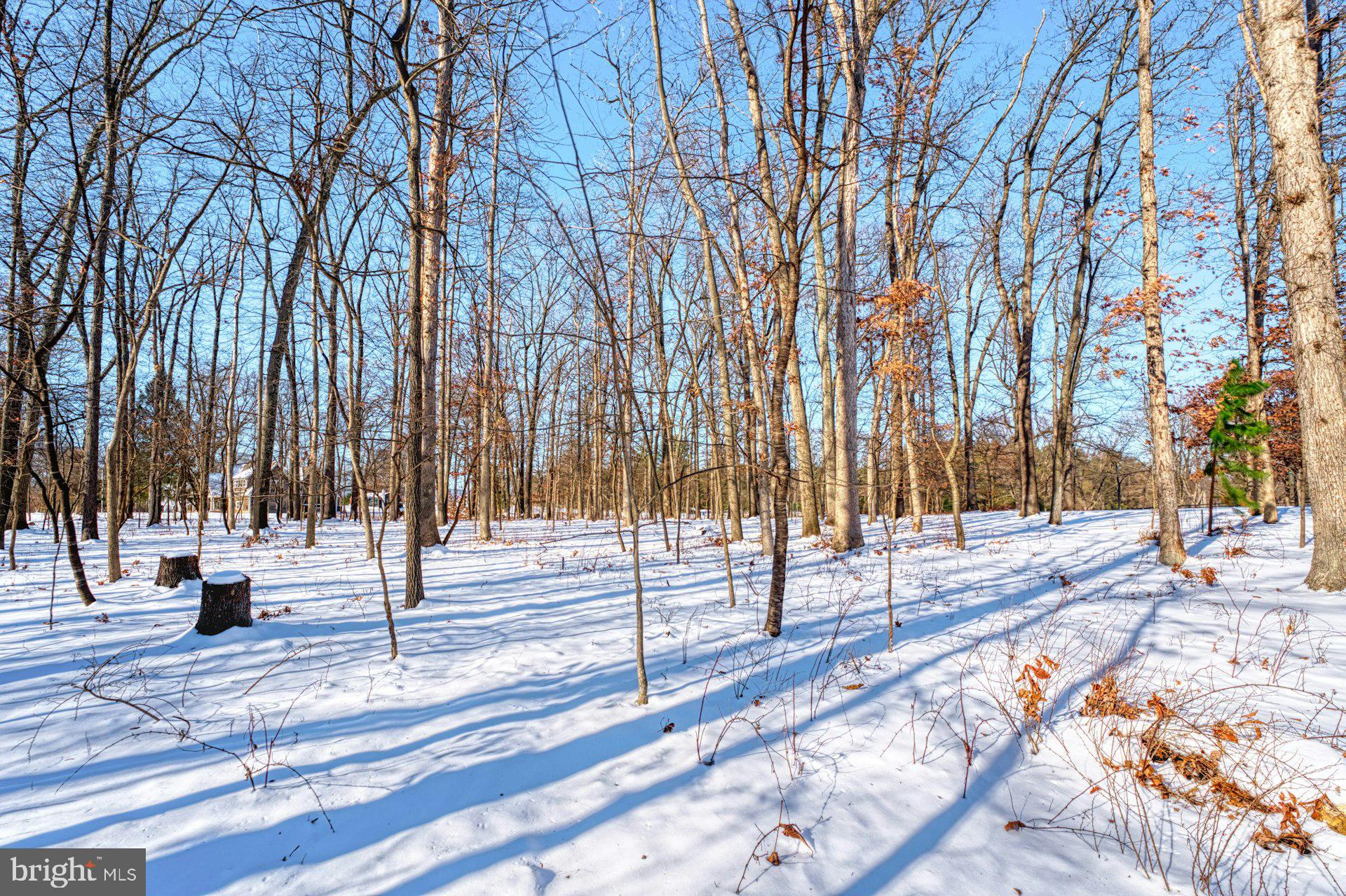 BURNETT DIVISION - Residential