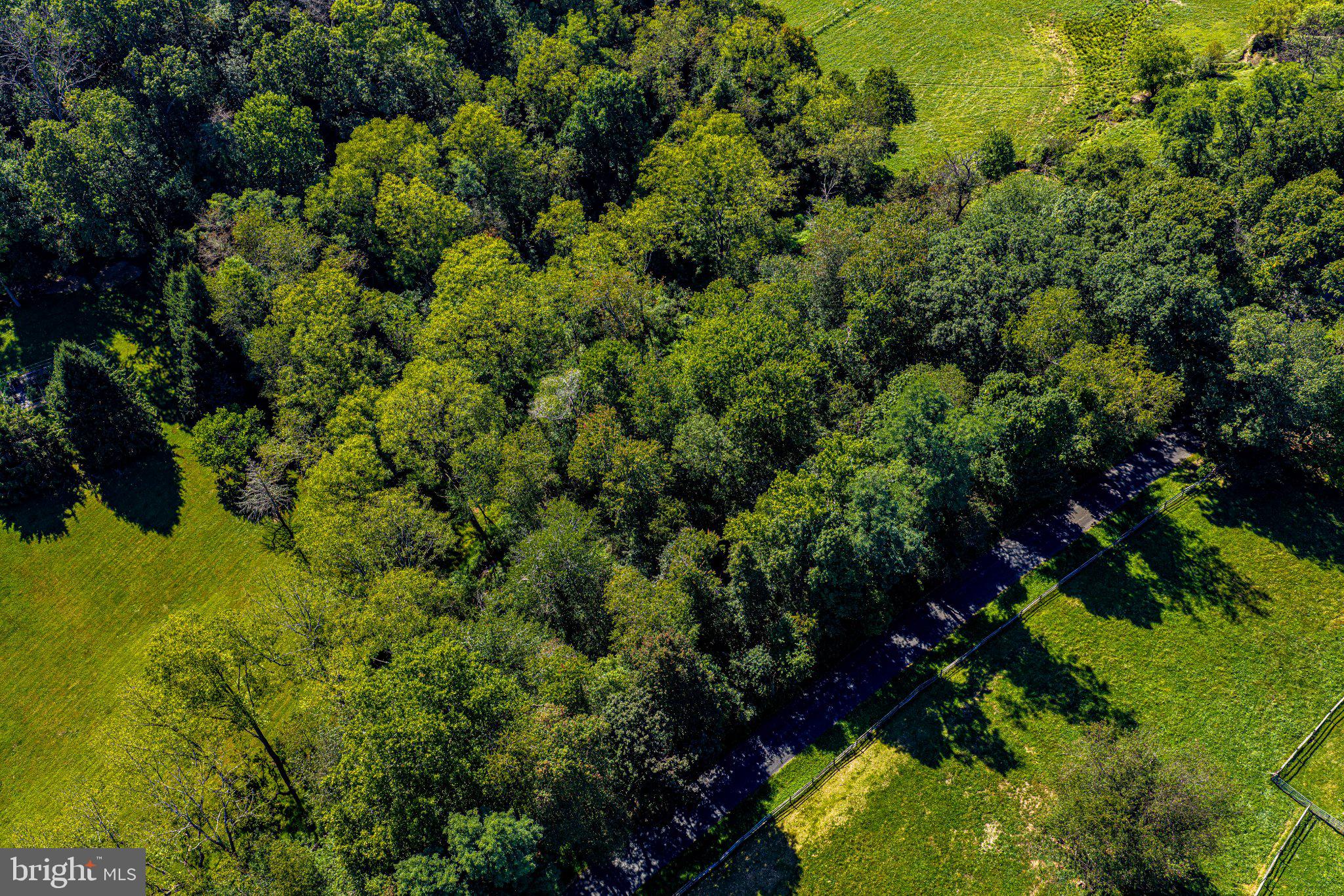 DRY BRANCH ROAD