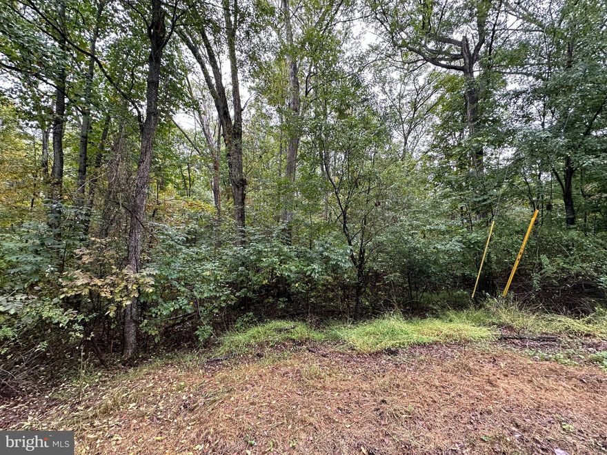 Upper scale community, close to town, all 5 acres wooded lots, paved road, very private. Two lots to choose from for sale in this community. This one has cert letter for 4 bed system. Existing homes in community up to 4,000 sq. ft.