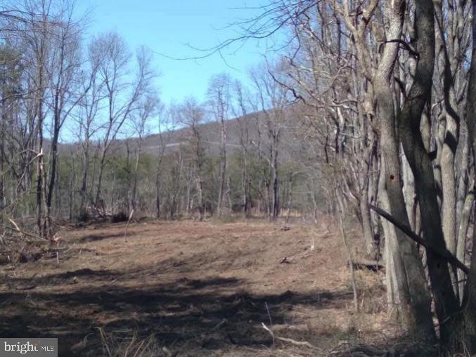 CRITTON OWL HOLLOW RD