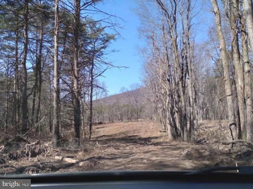 Beautiful 6+ Acre Lot – Residential or Recreational Use

Discover the perfect escape with this picturesque lot spanning just over 6 acres, ideal for either residential development or recreational use. Whether you're dreaming of a peaceful vacation retreat or your forever home, this property offers the serenity and space to bring your vision to life.

Key Features:

Surveyed and Marked: The lot comes with a completed survey and clearly marked boundaries for your convenience.

Electric Access: Equipped with a 25-foot telephone pole (5 feet grounded), as recommended by the electric company—making utility setup easier.

Partially Cleared: Enjoy a blend of open space and natural privacy. The lot features a cleared area and a circular driveway, ready for immediate use.

If you're looking to get away from the hustle and bustle of everyday life, this tranquil setting could be your personal retreat. Don’t miss the opportunity to own a slice of peaceful countryside.