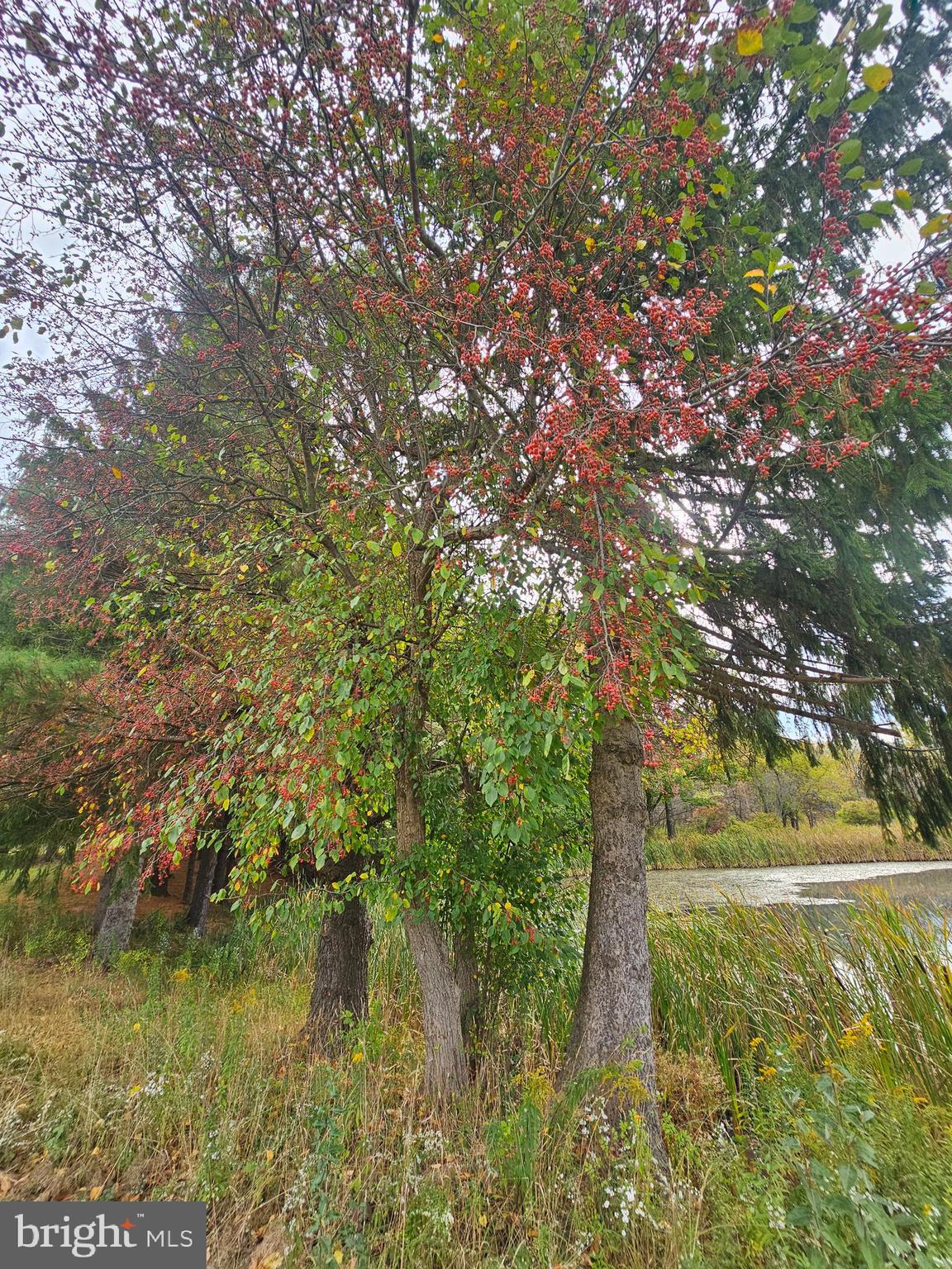 WEBERS CROSSING - Land