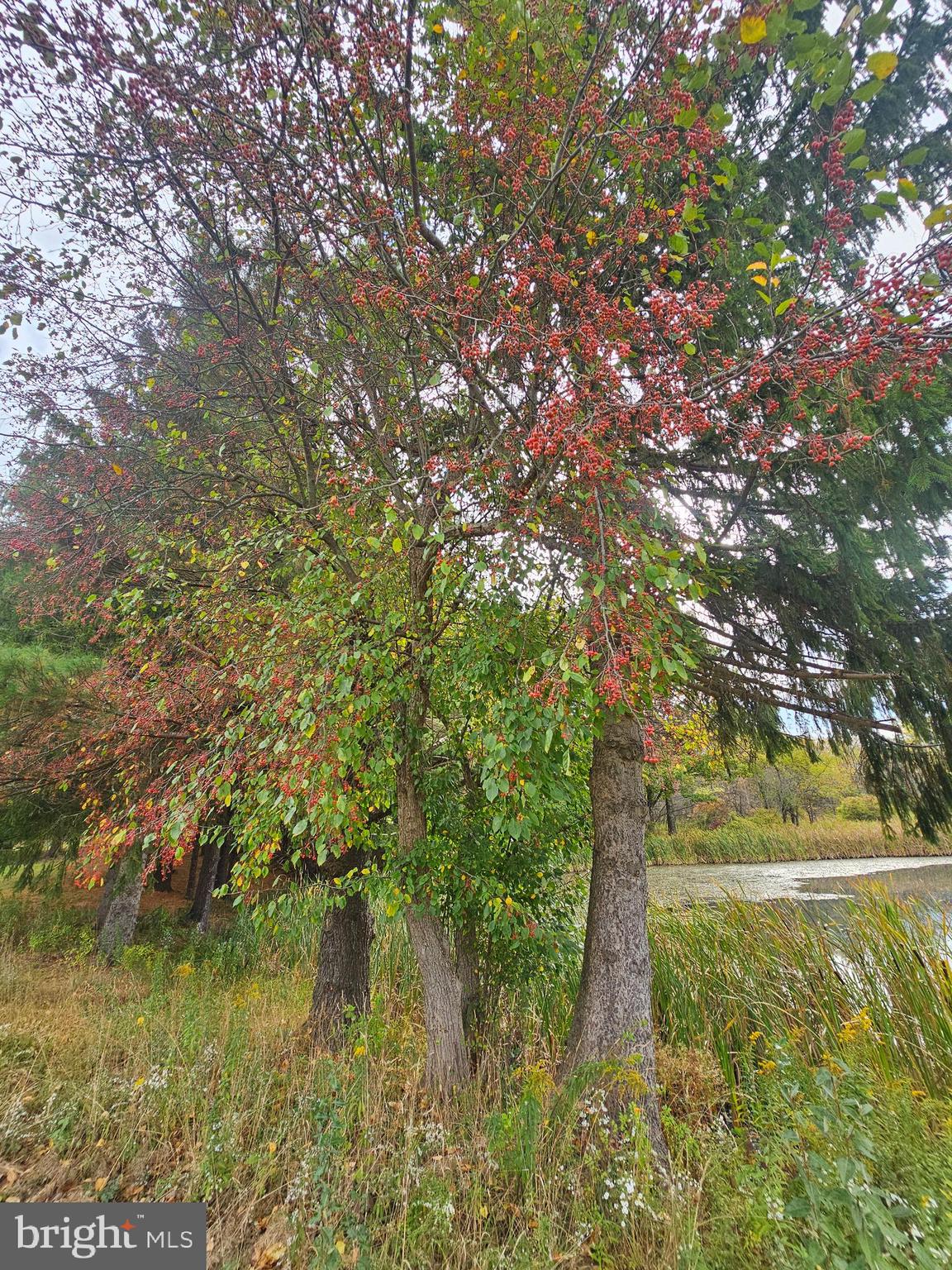 WEBERS CROSSING - Land