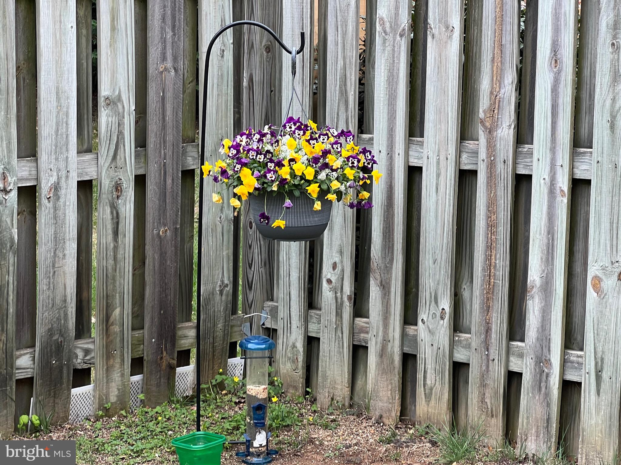 SALEM FIELDS - Residential Lease