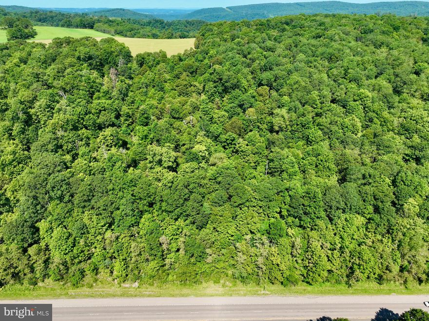This 4.81-acre parcel of land is a rare find, offering a perfect blend of space and accessibility for your future homestead or investment venture. This expansive property boasts a valuable 4-bedroom perc, making it an ideal canvas for your custom home. With over 800 feet of prime road frontage along the bustling 219, your new residence will enjoy excellent visibility and convenience for easy commuting and access to local amenities. Not only does this parcel provide buildable acreage, but it also includes a deeded right of way, ensuring that your property enjoys both privacy and ease of access. Imagine designing your perfect retreat on this generous land, surrounded by nature while still being close to town. Seize this exceptional opportunity to make your real estate dreams a reality on this spectacular property! Contact us today to learn more and schedule a viewing.