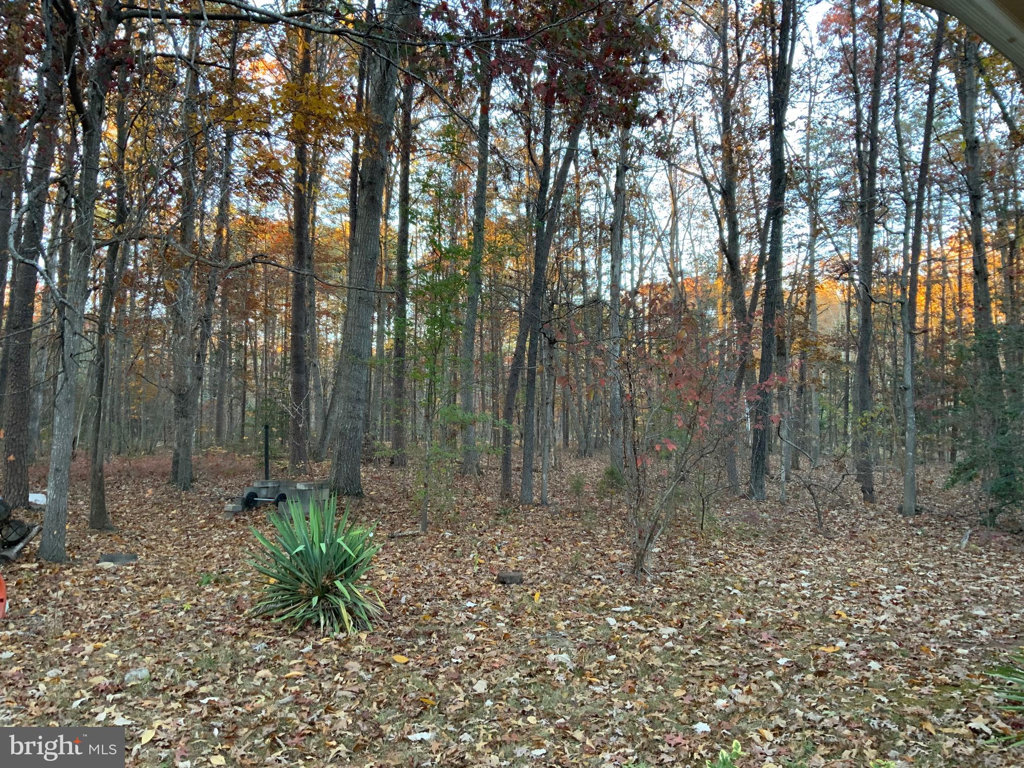 FOX RUN - Residential