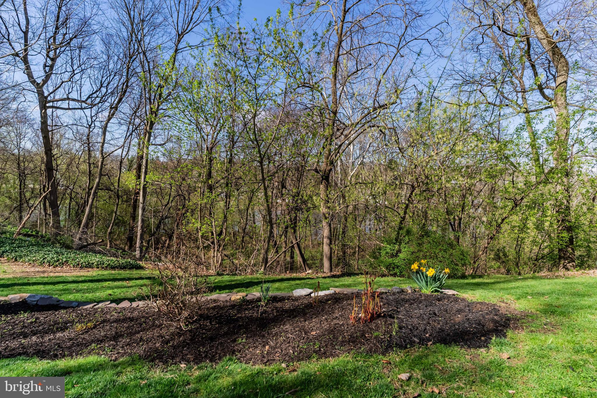 COUNTRY CLUB PARK - Residential