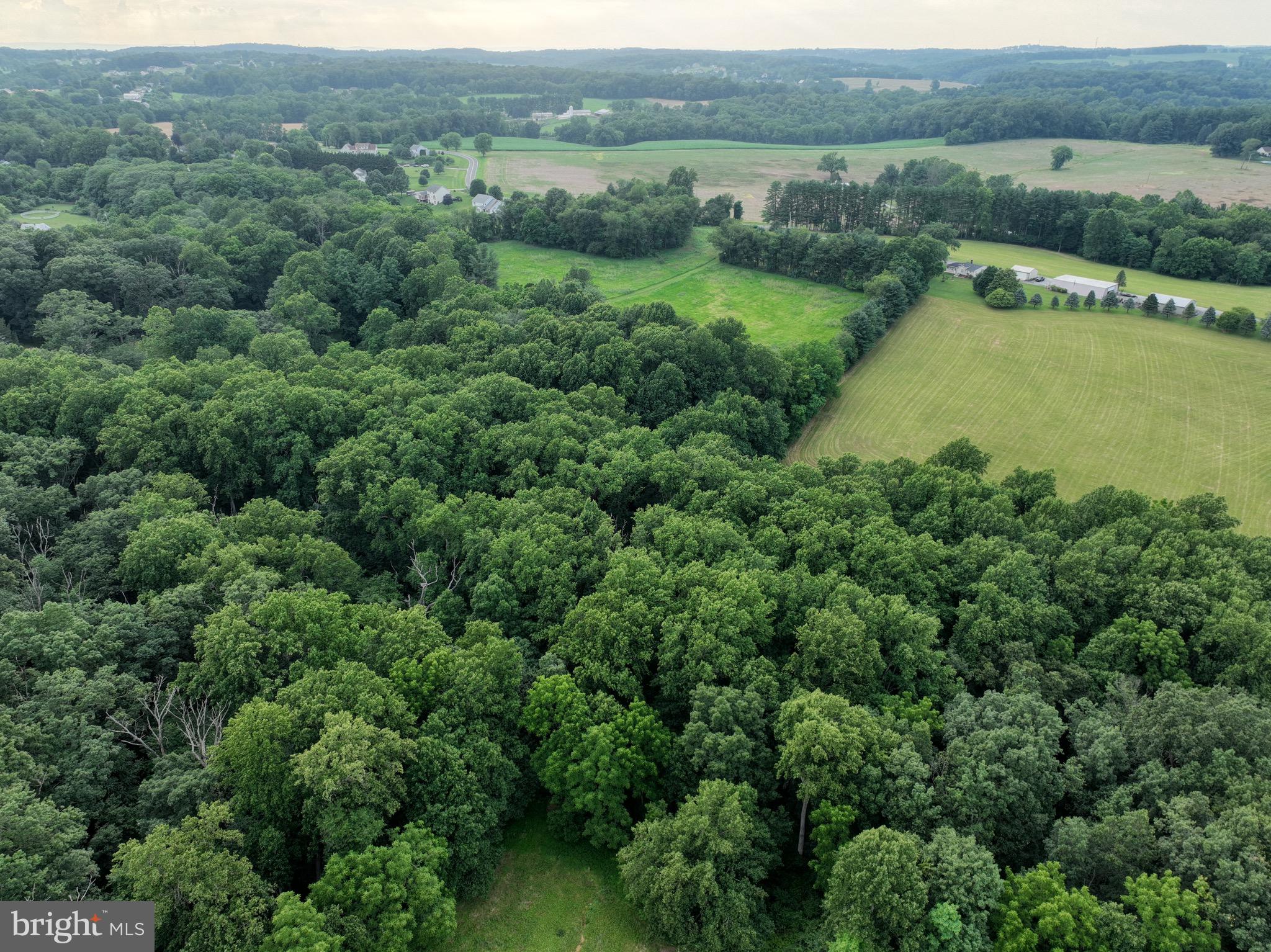 1701 GREEN MILL ROAD