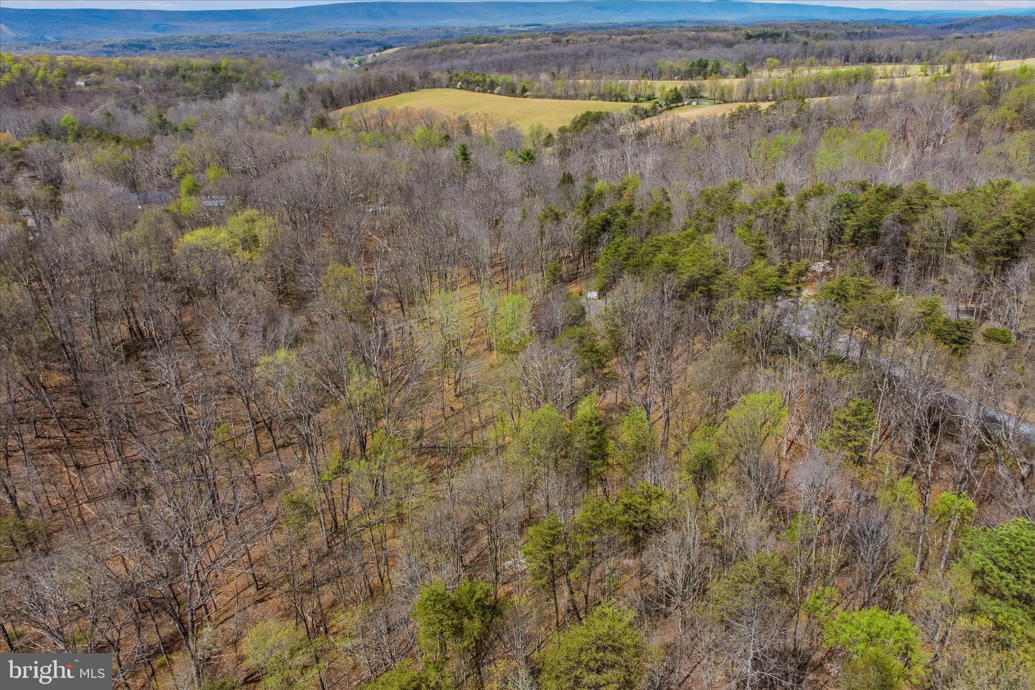 DEER SPRING WOODS - Residential
