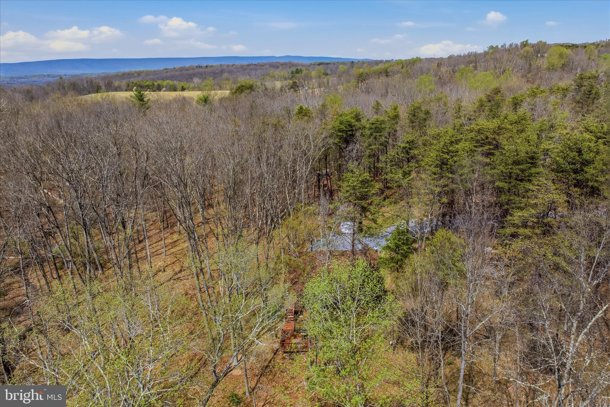 DEER SPRING WOODS - Residential