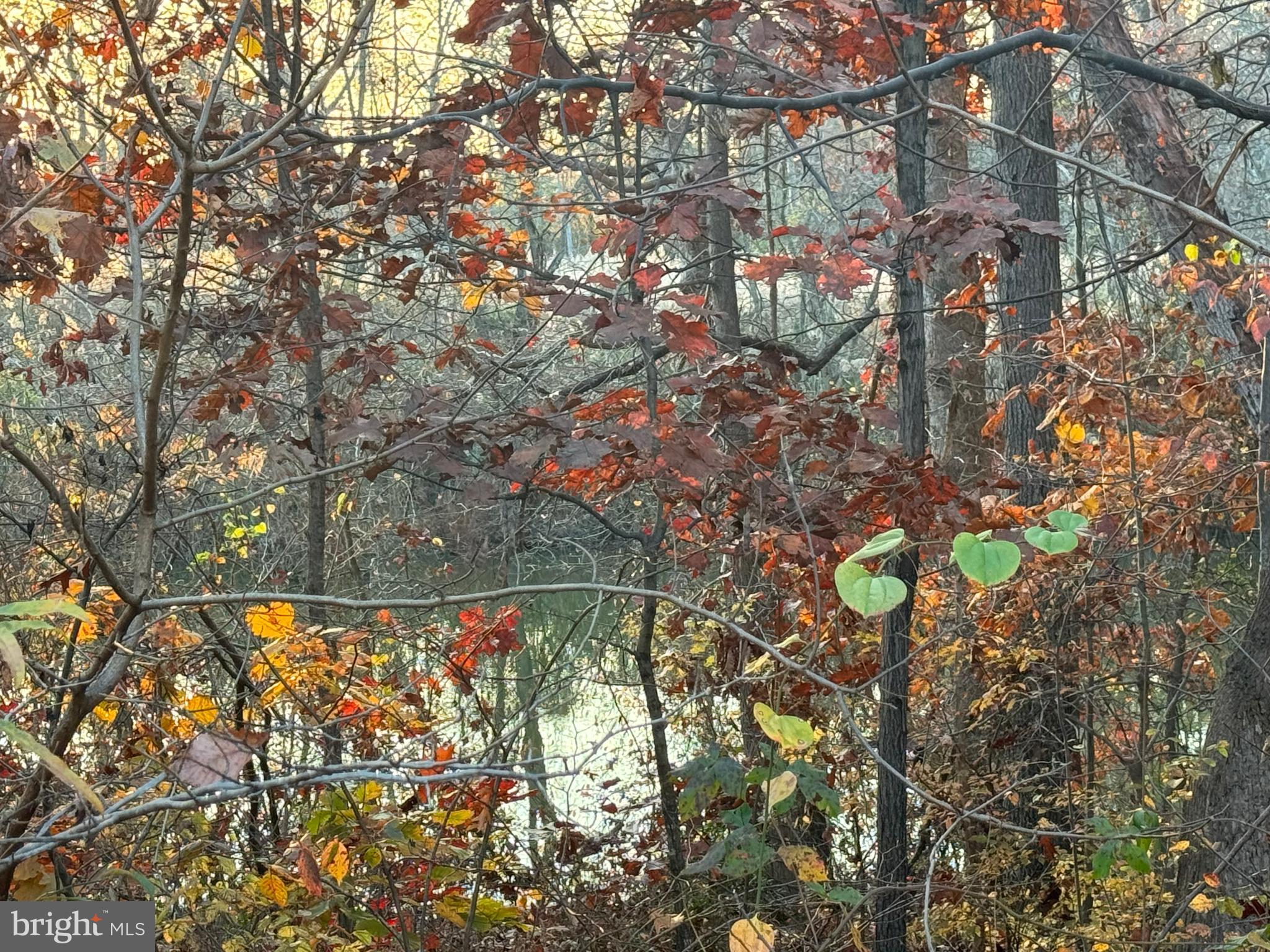 OLD TRAILS - Residential Lease