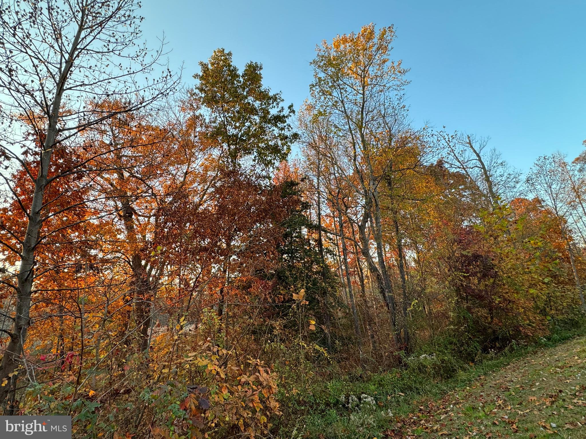 OLD TRAILS - Residential Lease