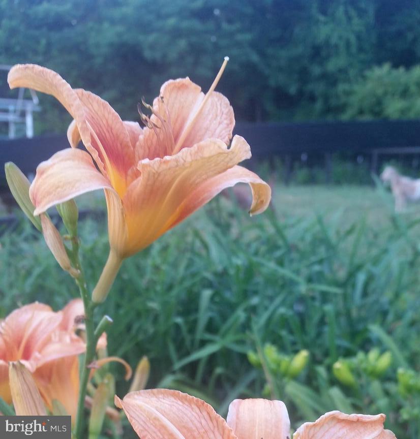 NORTH KEYS ESTATES - Residential Lease