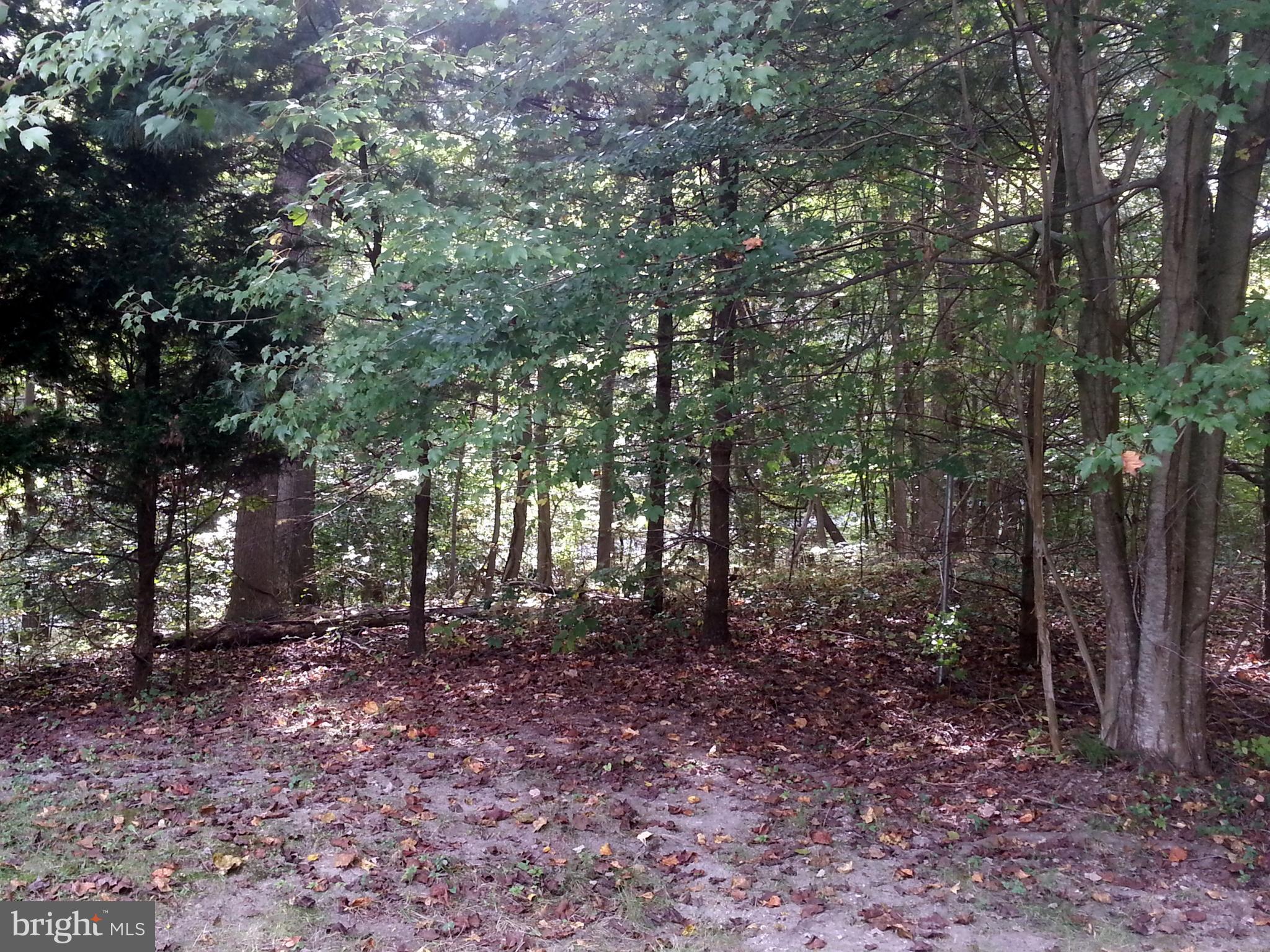 NORTH KEYS ESTATES - Residential Lease