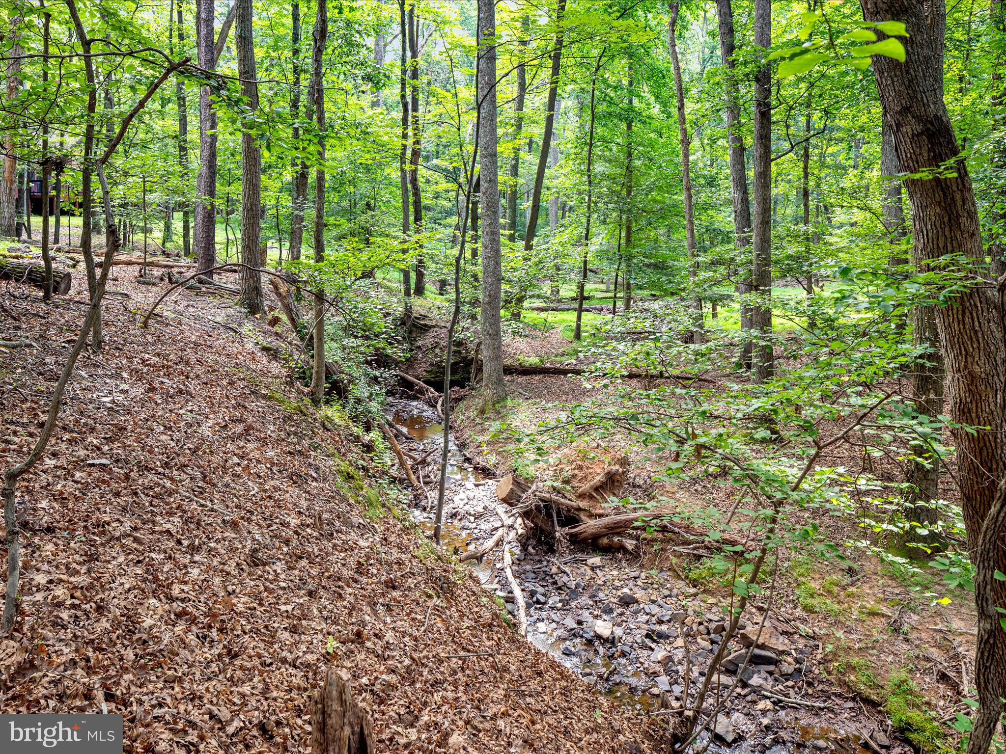 THE WOODS RESORT - Residential