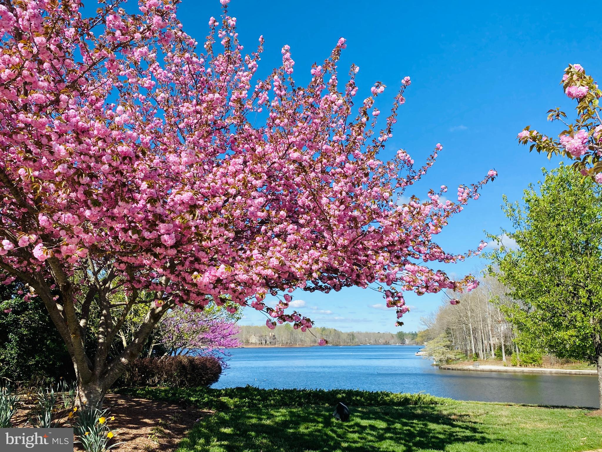 FAWN LAKE - Residential