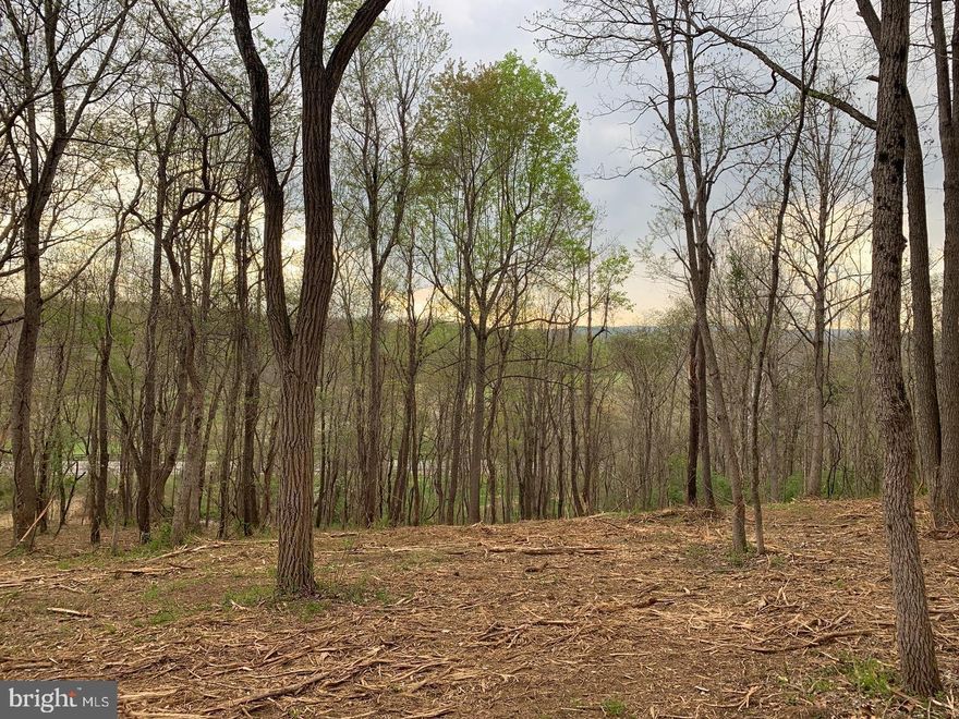 This stunning land boasts breathtaking views and is perfectly situated just off the main road, ensuing both convenience and privacy. Spanning an impressive 2.09 acres, this property offers ample space to create your dream home and enjoy the tranquility of nature. With its ideal location, you'll have easy access to local amenities while still being able to retreat to your own serene oasis.