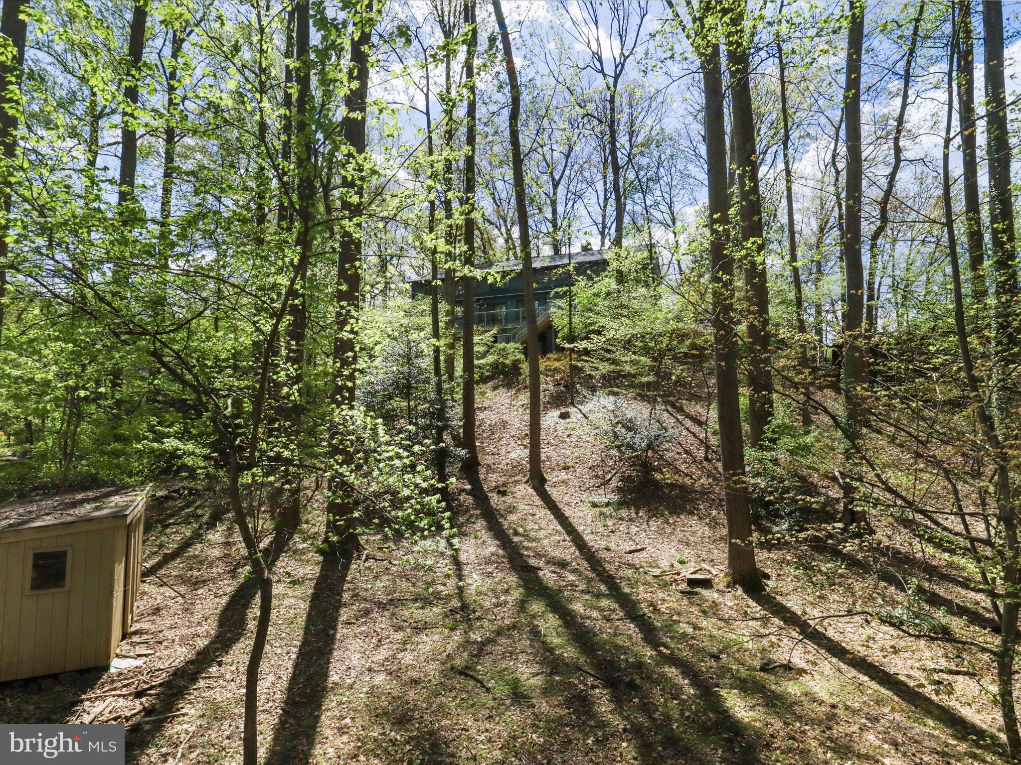 FRANKLIN FOREST - Residential